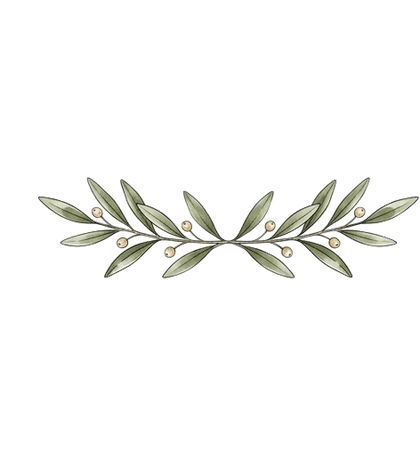 Olive branch